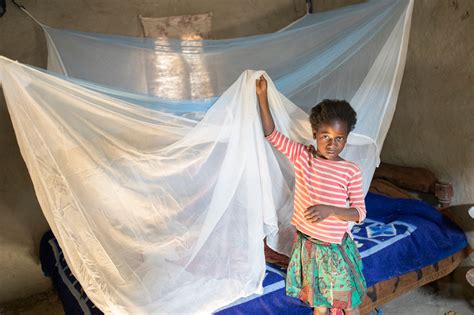 mosquito net charity